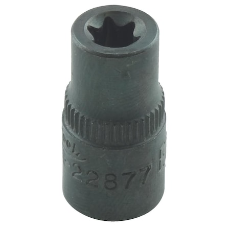 External Torx Socket, 1/4Dr, E-7, Drive Size: 1/4